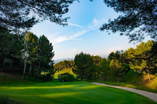  COLLECTION membership fee