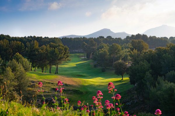 PASSION membership fee