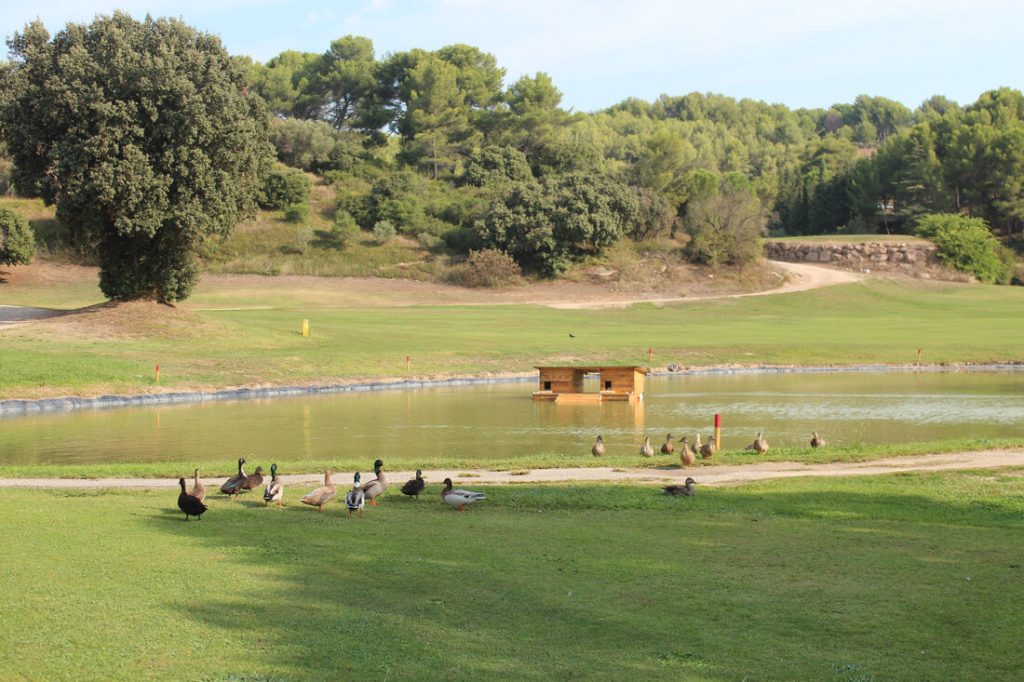 Golf Bastide de la Salette à Marseille