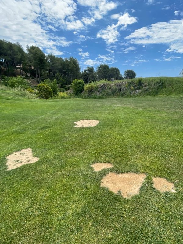 La gestion des maladies sur les greens - Golf Bastide de la Salette