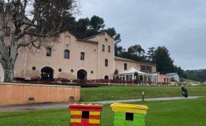 Unique birdhouses at Golf Bastide de la Salette - Open Golf Club