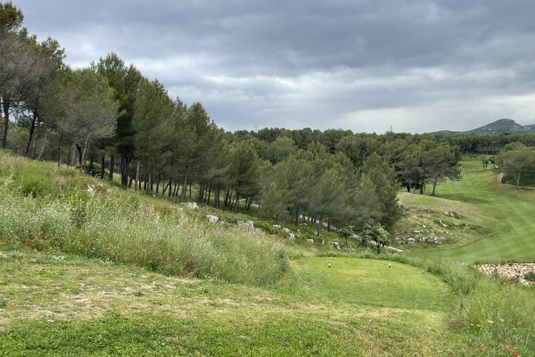 Preservation of a herbaceous layer and differentiated mowing