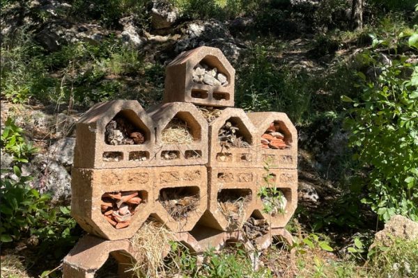Encouraging biodiversity by creating alternative micro-habitats