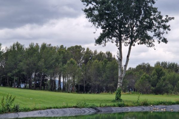 Installation of wildlife escape routes on the golf course ponds