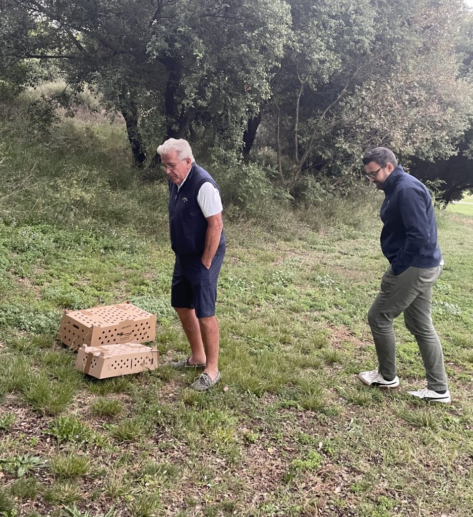 Un geste généreux pour la biodiversité : perdrix et faisans au cœur du golf