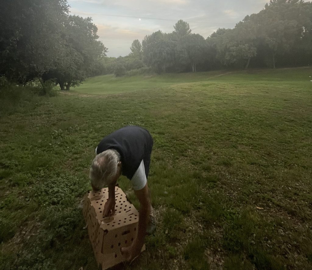 Un geste généreux pour la biodiversité : perdrix et faisans au cœur du golf