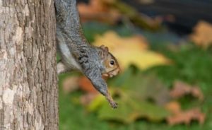 Le concours photo “Regards sur la Faune” est lancé : à vous d’immortaliser la biodiversité du Golf Bastide de la Salette - Open Golf Club
