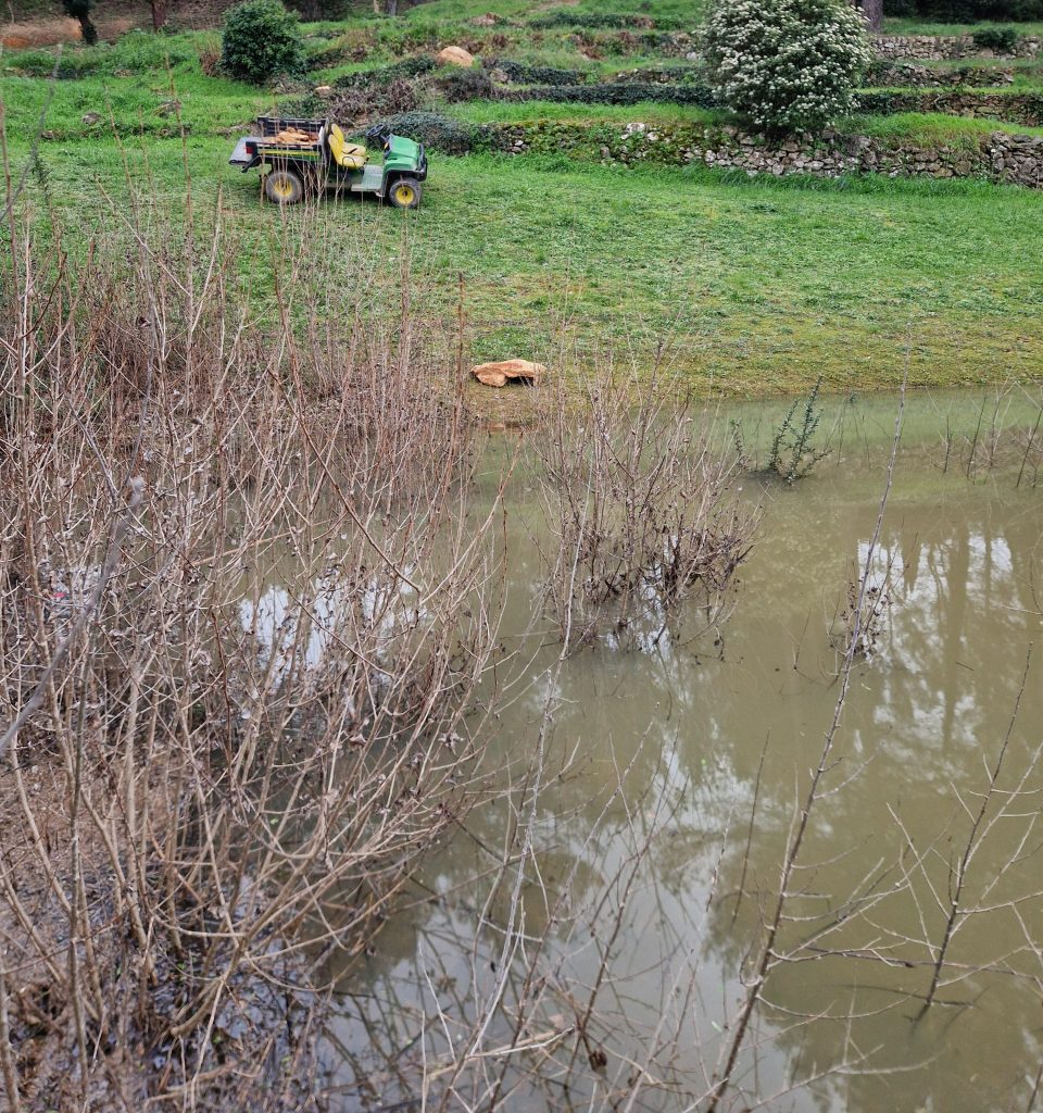 Les gardiens discrets des étangs : les crapauds du Golf Bastide de la Salette