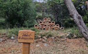 Des hôtes de marque au cœur du parcours Golf Bastide de la Salette - Open Golf Club